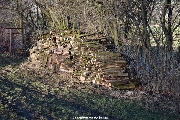 Brennholzstapel 6