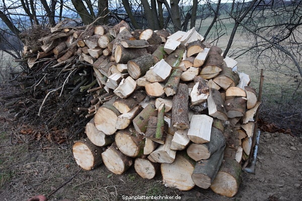 Brennholzstapel 8